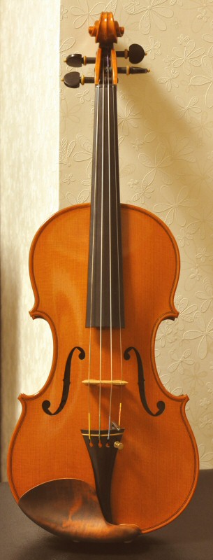 my violin